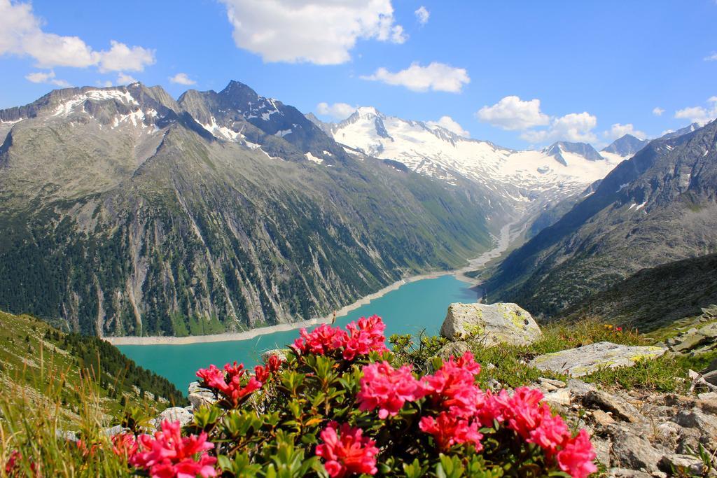 Alpen Appartements Hochmuth Mayrhofen Pokoj fotografie